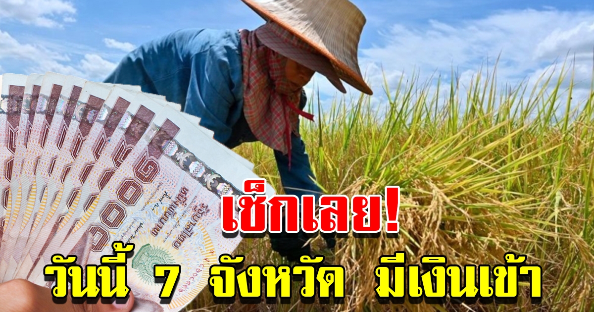 วันนี้ ธ.ก.ส. โอนเงินประกันรายได้ข้าว ให้ 7 จังหวัด เช็กเลย