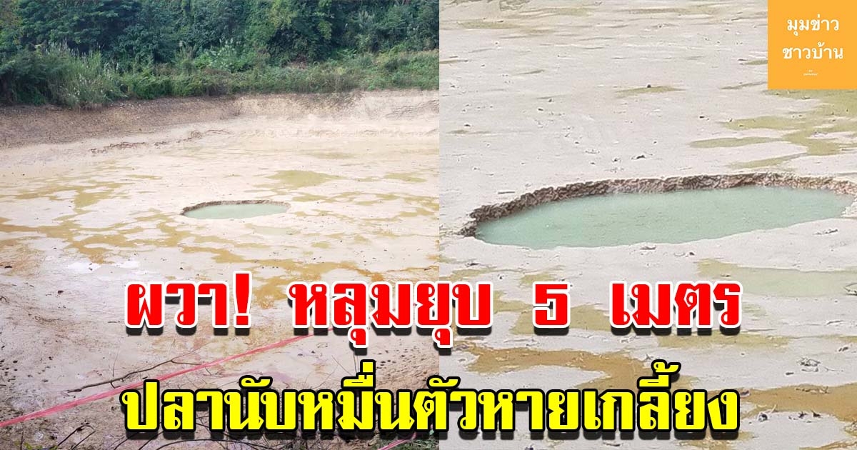 ชาวบ้านตื่น เกิดหลุมยุบในบ่อน้ำสาธารณะ น้ำในบ่อกับปลานับหมื่นตัวหายเกลี้ยง