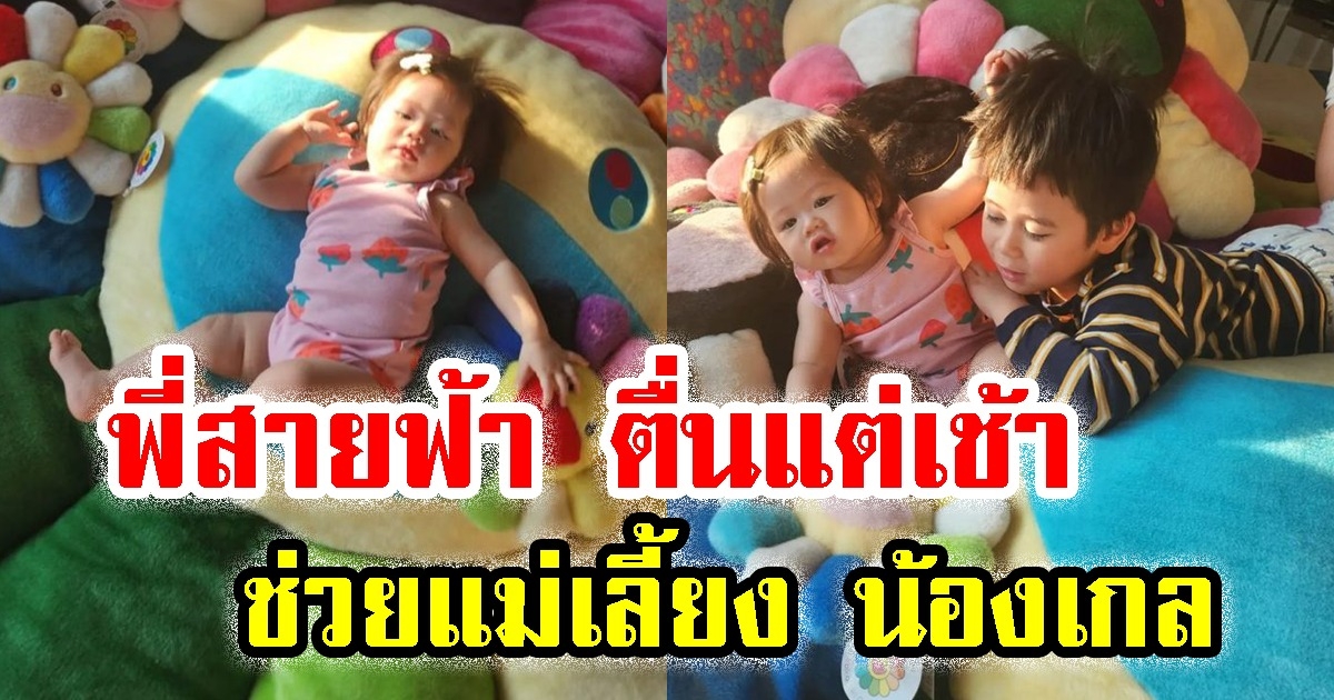 พี่สายฟ้า ตื่นแต่เช้า ช่วยแม่เลี้ยง น้องเกล ชาวเน็ตชม ขนาดหาวยังหล่อ