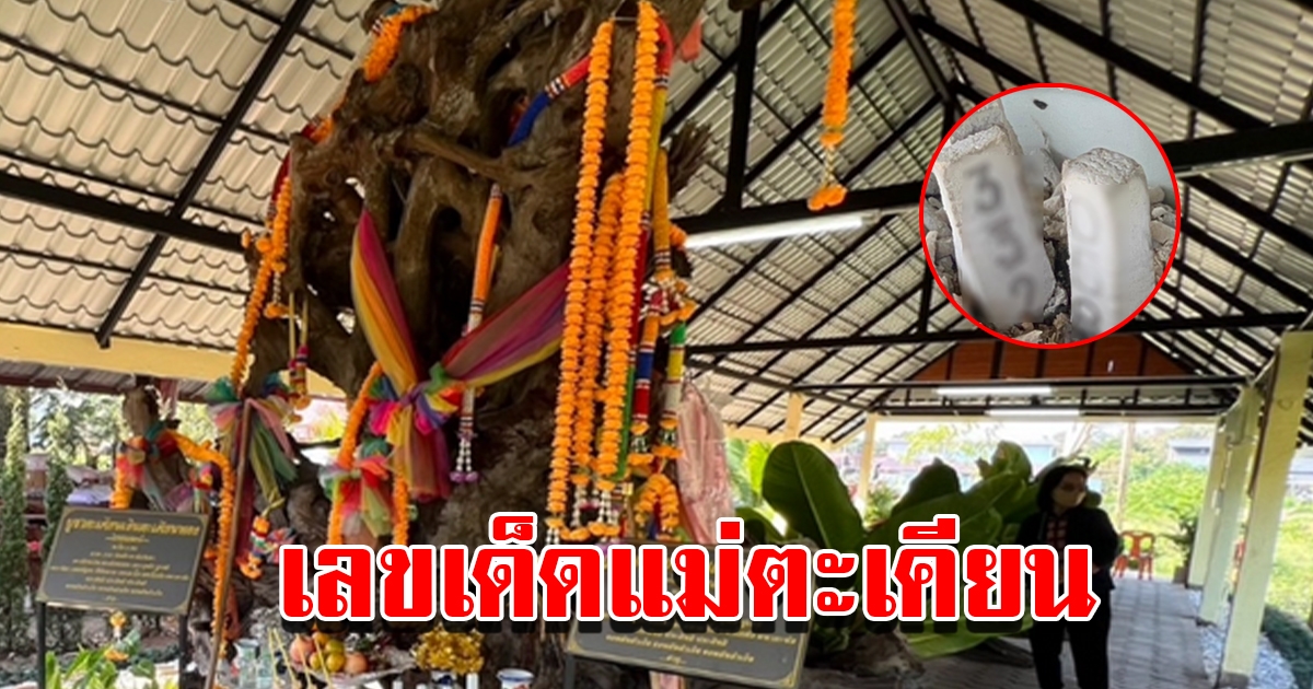 เลขแม่ตะเคียนเงินตะเคียนทอง ให้ถูกมาแล้วหลายงวด