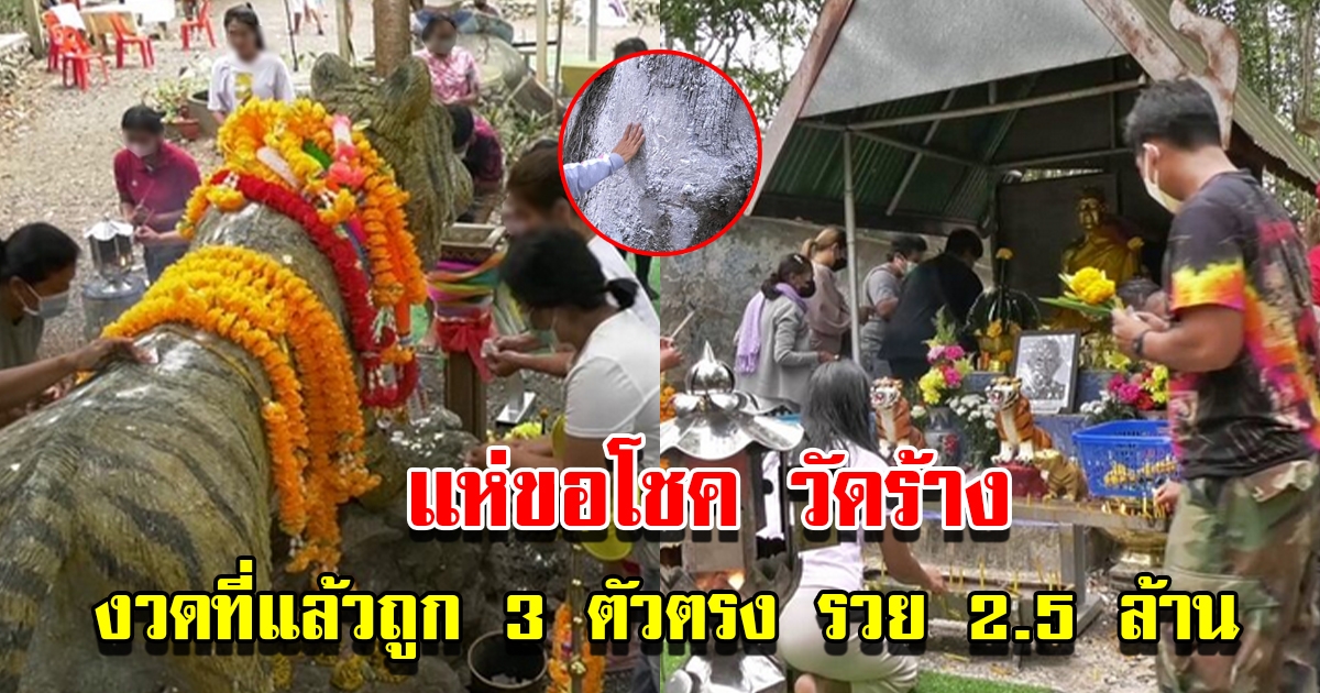 แห่ขอพรแน่นวัดร้างเมืองชุมพร หลังงวดก่อนชาวบ้านถูก 3 ตัว ได้เงิน 2.5 ล้าน
