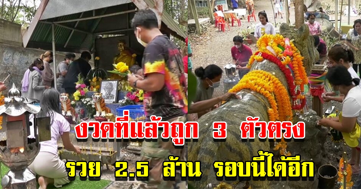 แห่ขอพรแน่นวัดร้างเมืองชุมพร หลังงวดที่แล้วชาวบ้านถูก 3 ตัว ได้เงิน 2.5 ล้าน