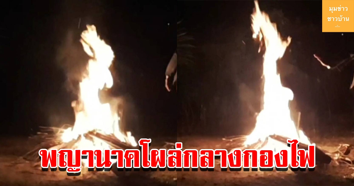 คุณตานั่งผิงไฟแก้หนาว ก่อนจ้องเพ่งกองไฟลุกโชนคล้ายพญานาค