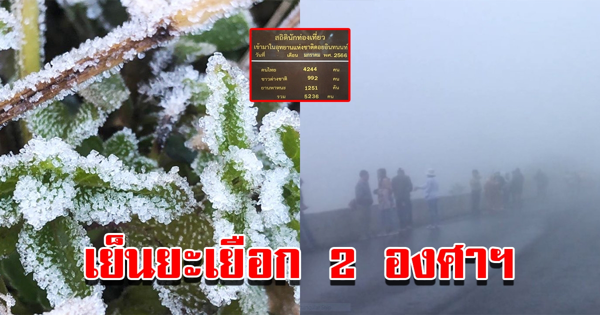 ดอยอินทนนท์ เย็นยะเยือก 2 องศาฯ นทท. แห่รับลมหนาว ชมทะเลหมอกยามเช้า