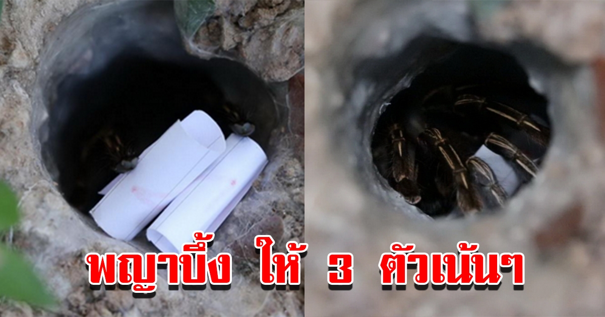 มาแล้ว เลขพญาบึ้ง ให้ 3 ตัวเน้นๆ