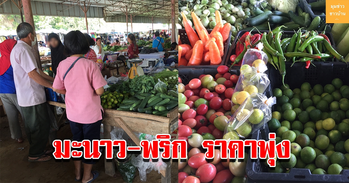 มะนาว พริก พาเหรดขยับราคาขึ้น คาดตรุษจีนจะแพงไปอีก
