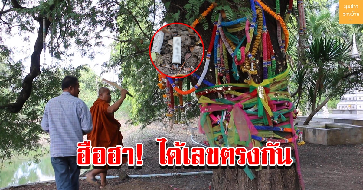 ชาวบ้านทำบุญให้เจ้าของและเทวดา ที่ปกปักรักษามะขามหวานพันธุ์ตาแป๊ะต้นแรก