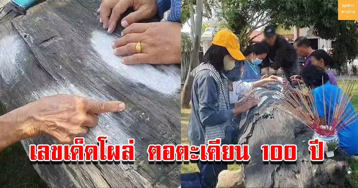 ชาวบ้านแห่ขอโชค ได้เลขเด็ดโผล่ตอตะเคียนอายุ 100 ปี