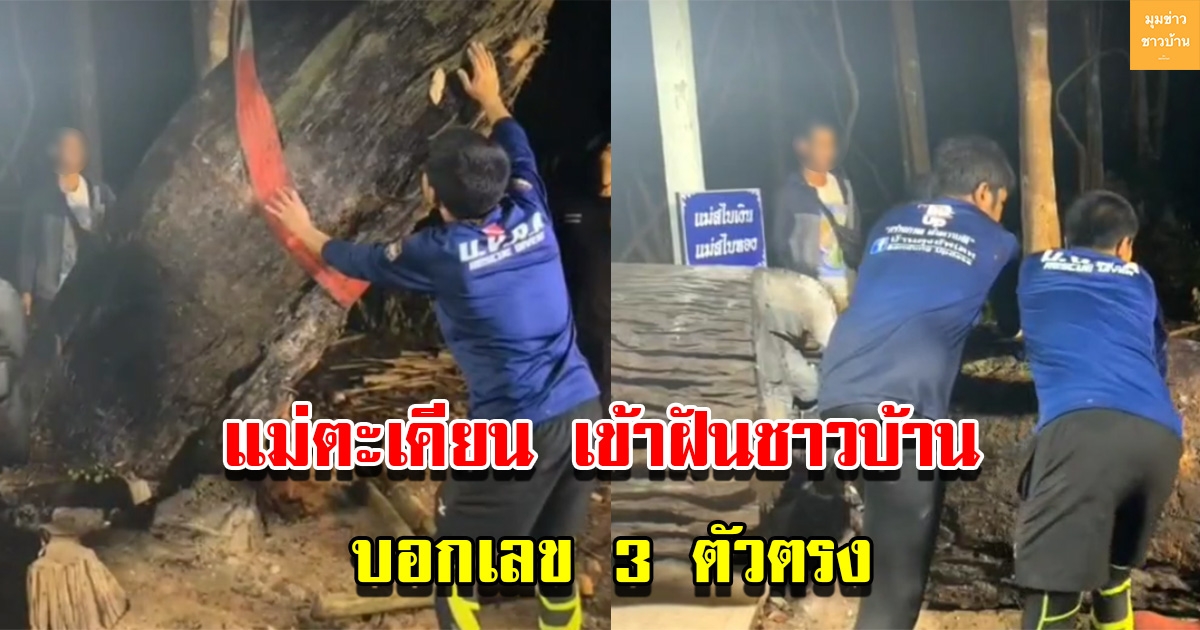 แม่ตะเคียนเข้าฝันชาวบ้าน ให้เอาขึ้นจากน้ำเพราะหนาวมาก บอกเลขอีก 3 ตัวตรง