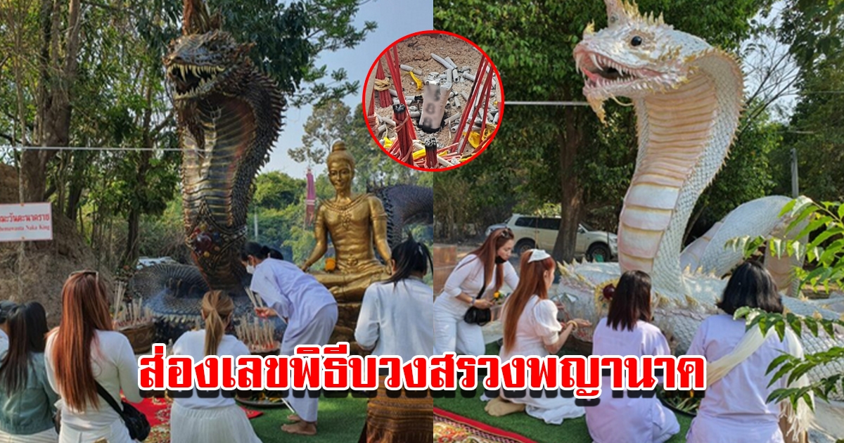 ส่องเลขพิธีบวงสรวงพญานาค เจ้าปู่-เจ้าย่า เคยให้โชคมาแล้วหลายงวด