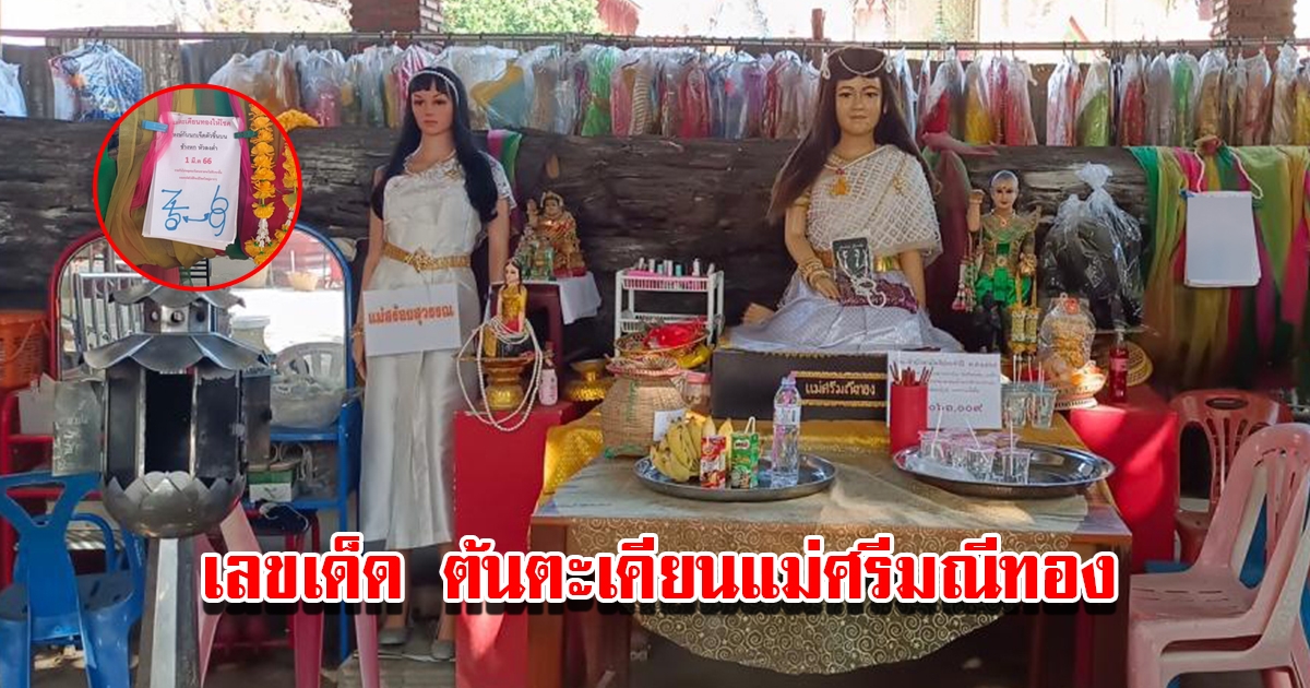 มาแล้วเลขเด็ด ต้นตะเคียนแม่ศรีมณีทอง วัดศรีอุทุมพร