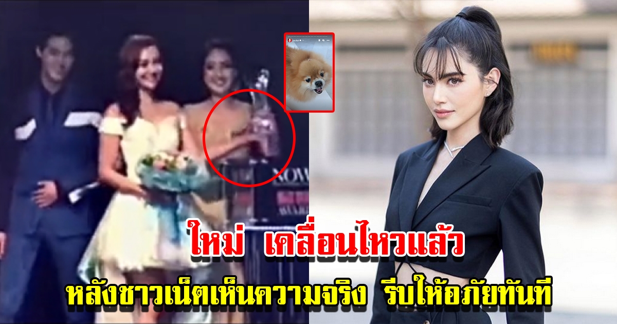 ใหม่ ดาวิกา เคลื่อนไหวแล้ว หลังชาวโซเชียลเห็นความจริง รีบให้อภัยทันที