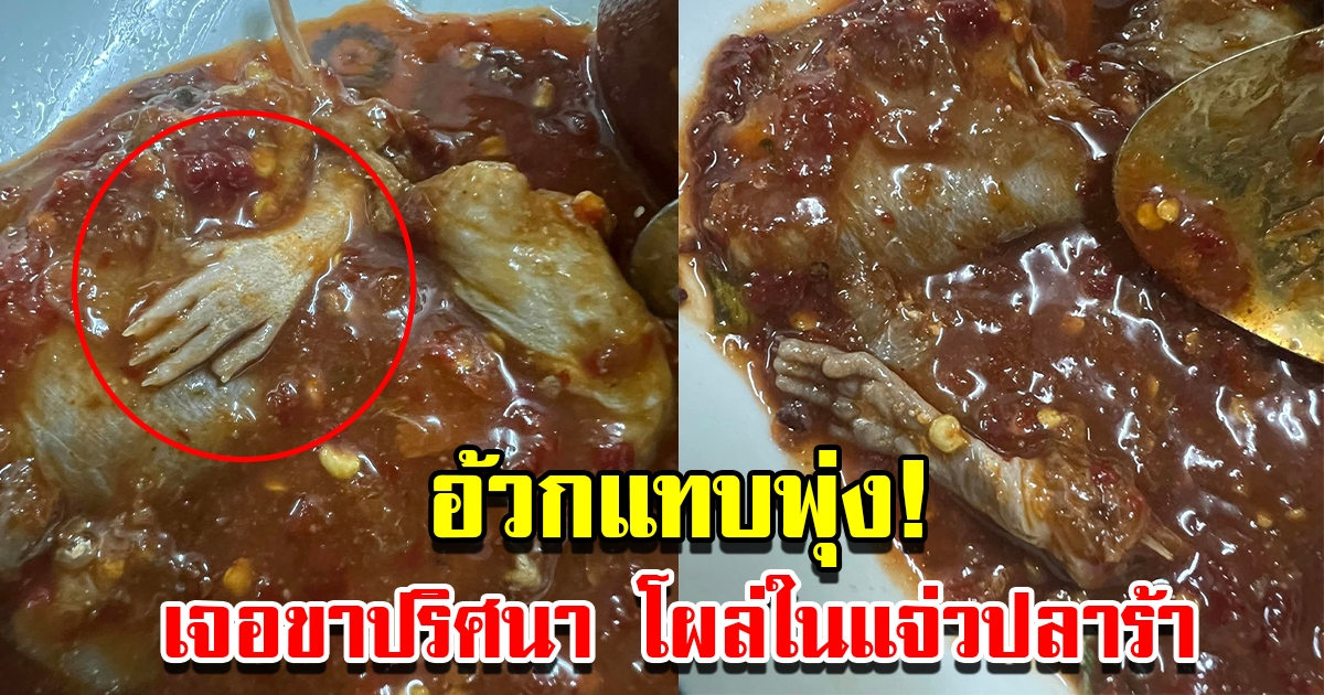 สาวซื้อแจ่วปลาร้าร้านประจำ เจอขาปริศนาโผล่มาด้วย