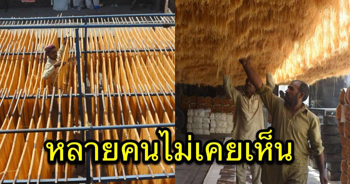 ส่องโรงงาน เส้นก๋วยเตี๋ยวตากแห้ง ภาพที่หลายคนไม่เคยเห็น