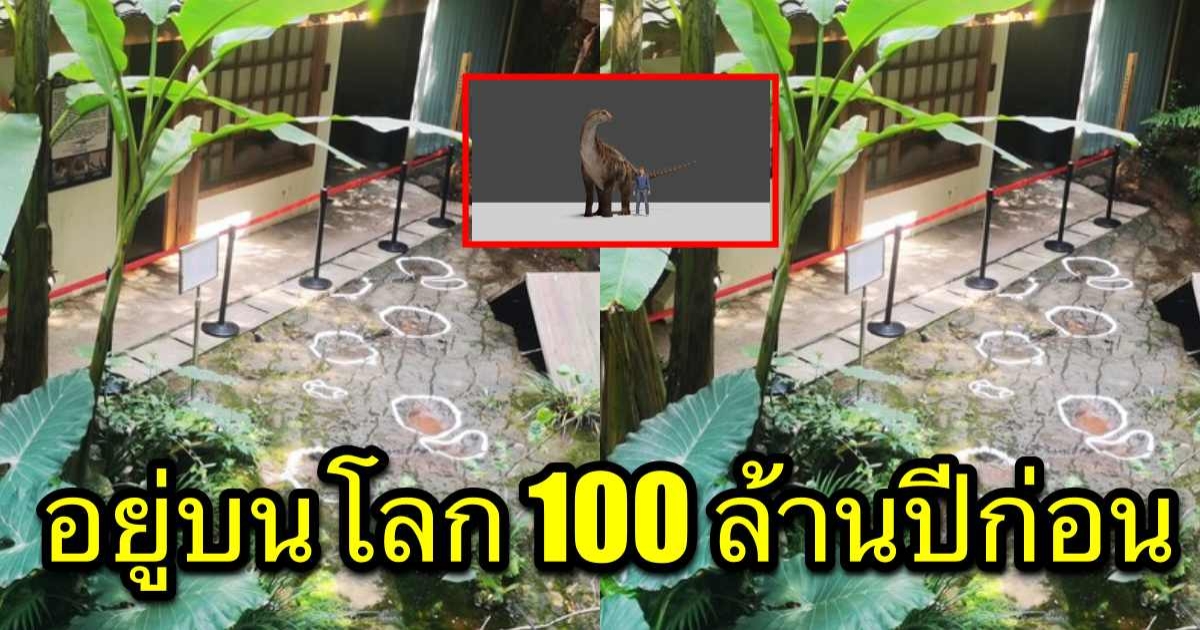 ยืนยันแล้ว รอยบุ๋ม ที่พบในร้านอาหาร เป็นของไดโนเสาร์อายุ 100 ล้านปี