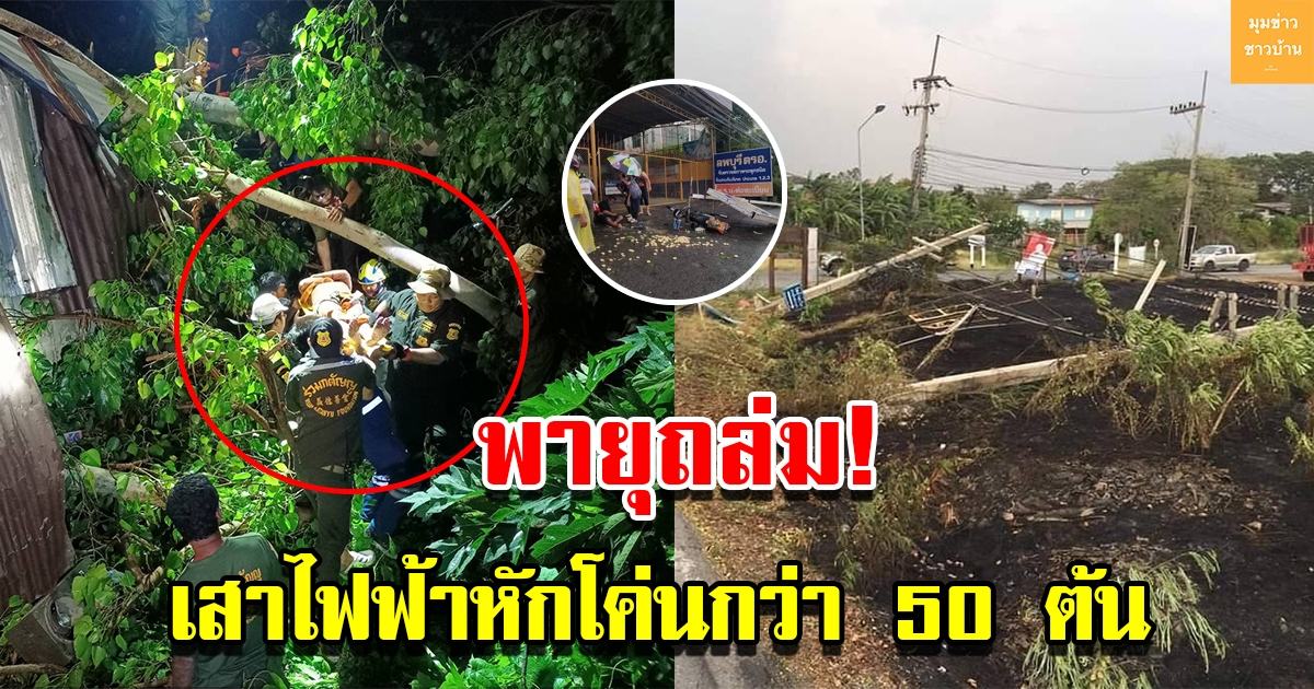 พายุถล่ม เสาไฟฟ้าหักโค่นกว่า 50 ต้น ต้นไม้ใหญ่ป้ายโฆษณาทับคนเจ็บ