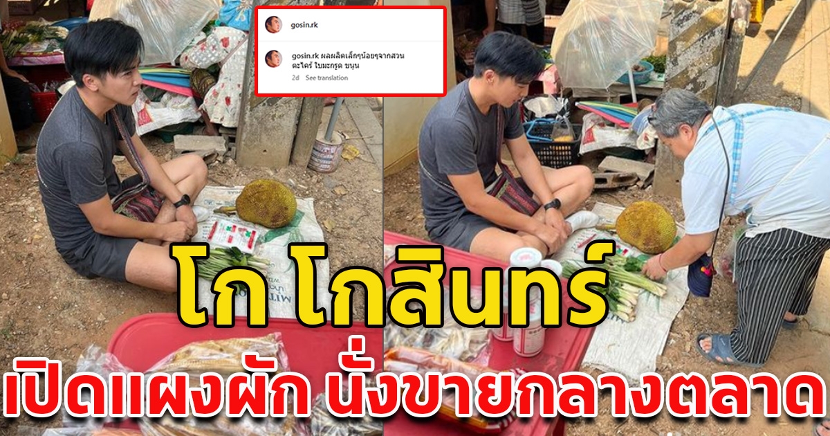 ไม่เลือกงานไม่ยากจน โก โกสินทร์ เก็บพืชผักไปนั่งขายกลางตลาด