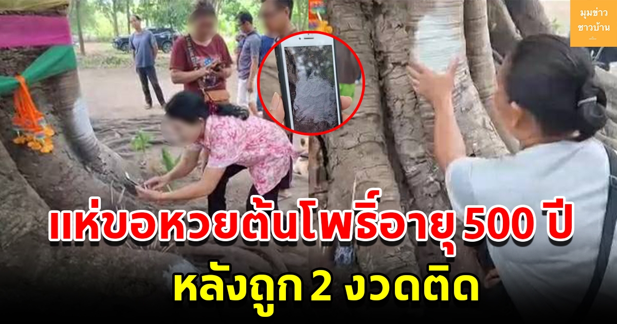 ชาวบ้านแห่ขอหวย ต้นโพธิ์ยักษ์อายุกว่า 500 ปี หลังให้โชค 2 งวดติด