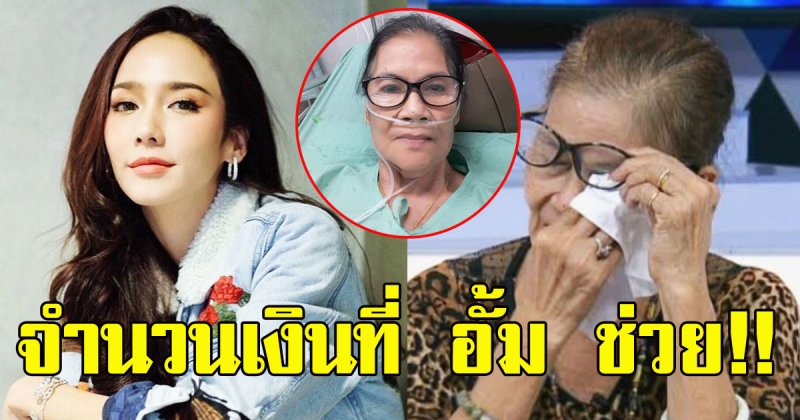 จำนวนเงิน ที่ อั้ม พัชราภา ช่วย ป้าแมว