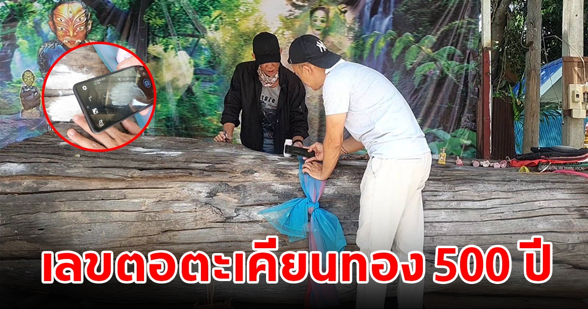 แห่ขอโชคตอตะเคียนทองโบราณ อายุ 500 ปี เลขโผล่ 3 ตัวเน้นๆ