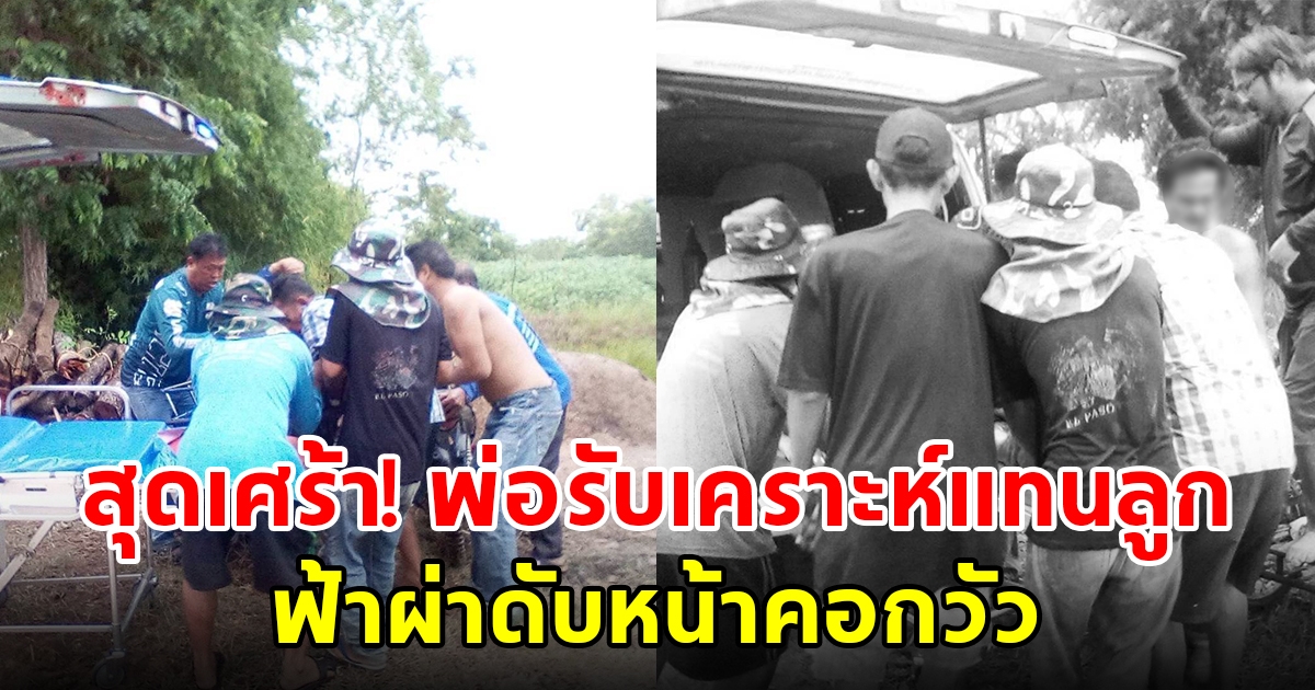 สลด ฟ้าผ่าลุงเลี้ยงวัวดับหน้าคอก ลูกชายเผยเสียใจพ่อมารับเคราะห์แทน