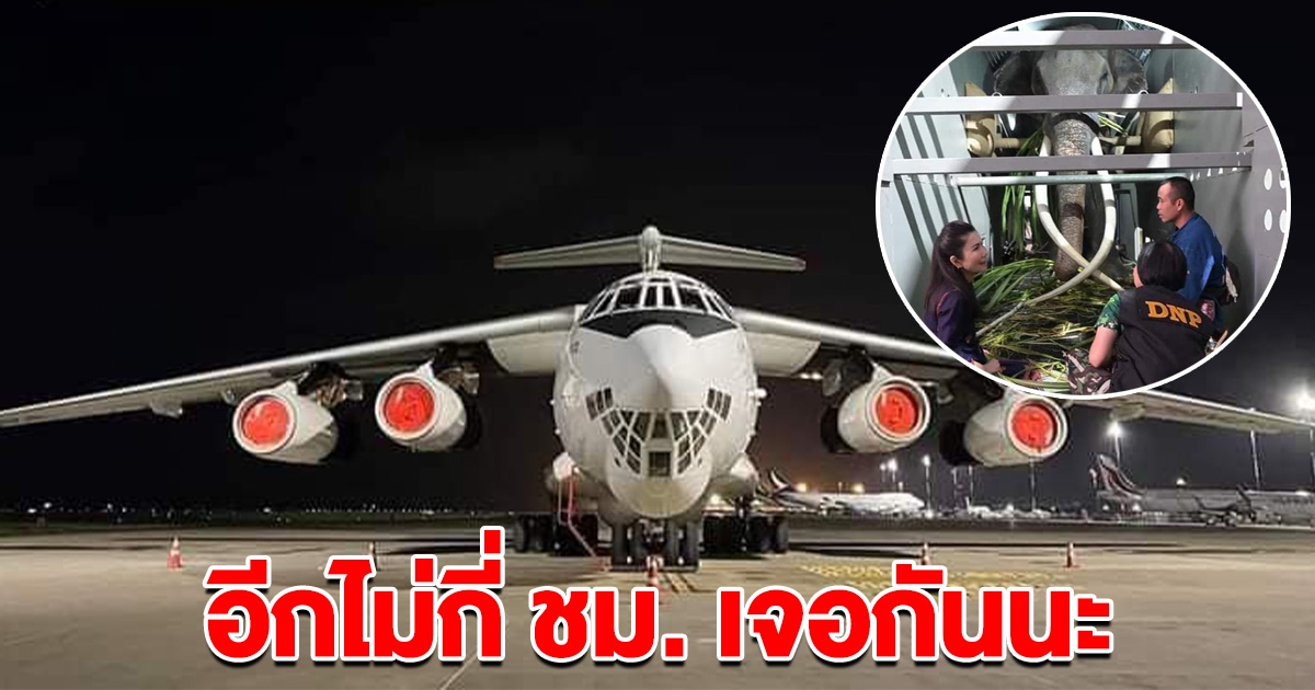 ขึ้นเครื่องสำเร็จแล้ว พลายศักดิ์สุรินทร์ บินกลับไทย