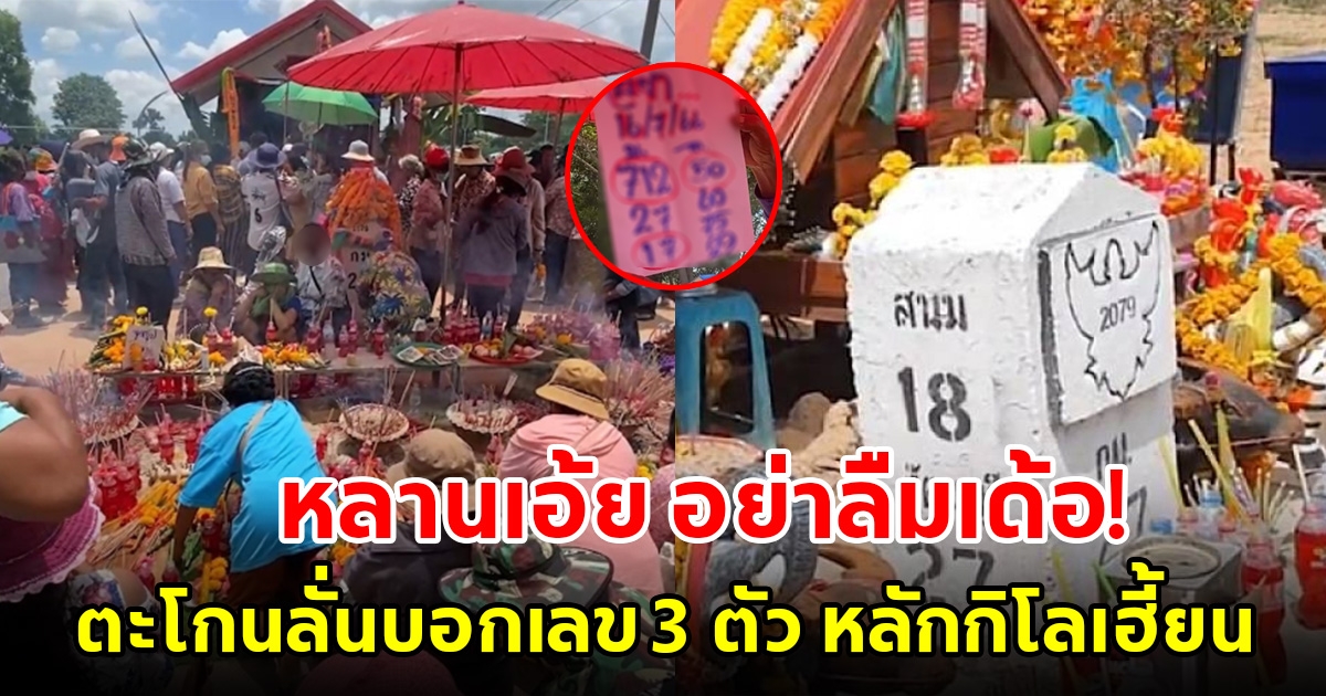 แห่ซื้อเกลี้ยงแผง เลขหลักกิโลเฮี้ยน ตะโกนลั่นบอก 3 ตัวตรง