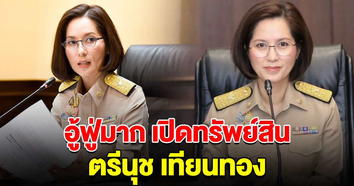 อู้ฟู่มาก เปิดทรัพย์สิน ตรีนุช เทียนทอง