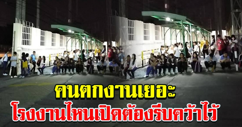 แห่สมัครงาน มืดฟ้ามัวดิน ต่อแถวนับพัน ตั้งแต่ตี 4