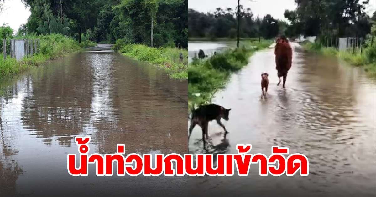 ฝนตกหนัก น้ำท่วมถนนเข้าวัด พระออกบิณฑบาตรแบบทุลักทุเล