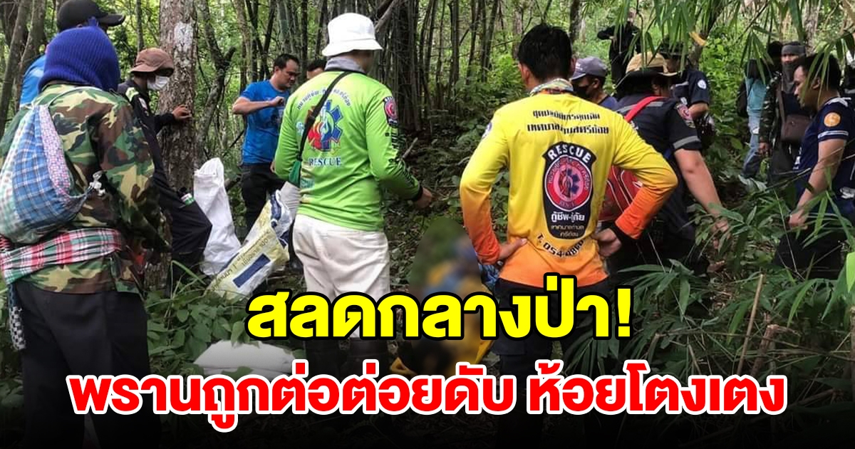 พรานถูกต่อต่อยเสียชีวิตในป่าบนเขา ร่างห้อยโตงเตงกับต้นไม้