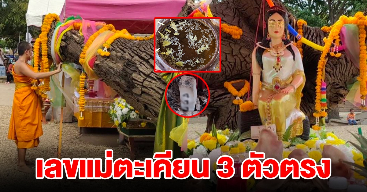บวงสรวง เจ้าแม่ตะเคียนแก้ว วัดอินทาราม ชาวบ้านแห่ส่องเลขโผล่กลางพิธี 3 ตัวตรง
