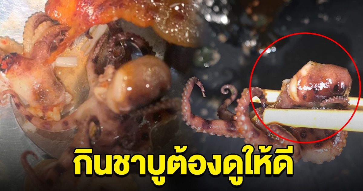 หนุ่มเตือนระวัง ไปกินชาบูต้องดูให้ดี เจอหมึก คล้ายหมึกพิษบลูริง
