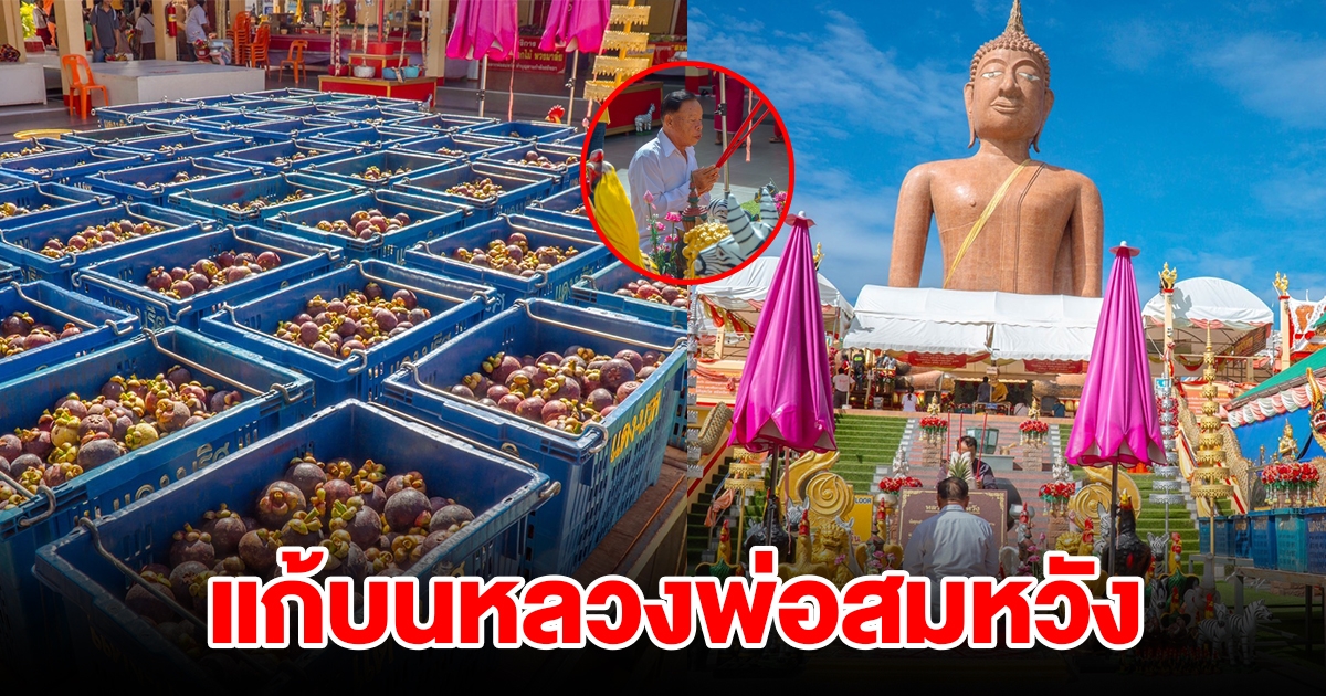 เจ้าของโรงหล่อพระชื่อดัง นำมังคุด 10 ตัน แก้บนหลวงพ่อสมหวัง หลังที่ขอไว้สมปรารถนา