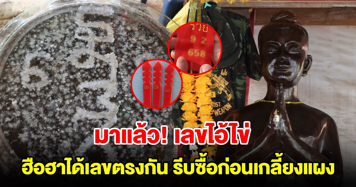 มาแล้ว เลขไอ้ไข่วัดดัง ฮือฮาได้เลขตรงกัน รีบซื้อก่อนเกลี้ยงแผง