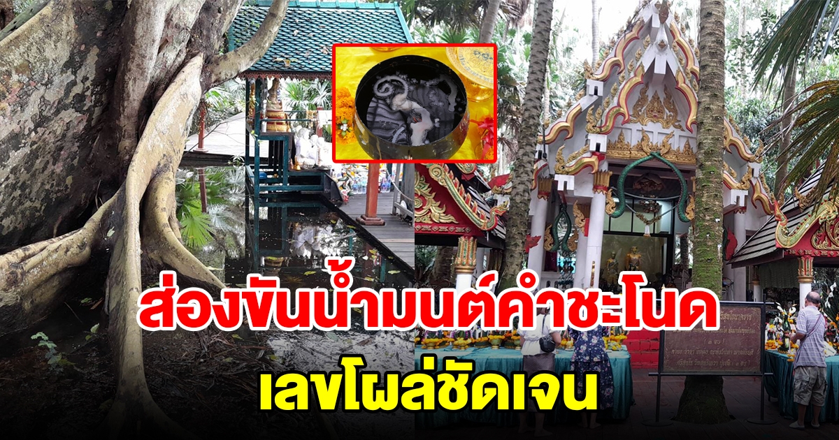 ส่องขันน้ำมนต์ เกาะคำชะโนด เลขโผล่ลอยเด่นเห็นชัดเจน