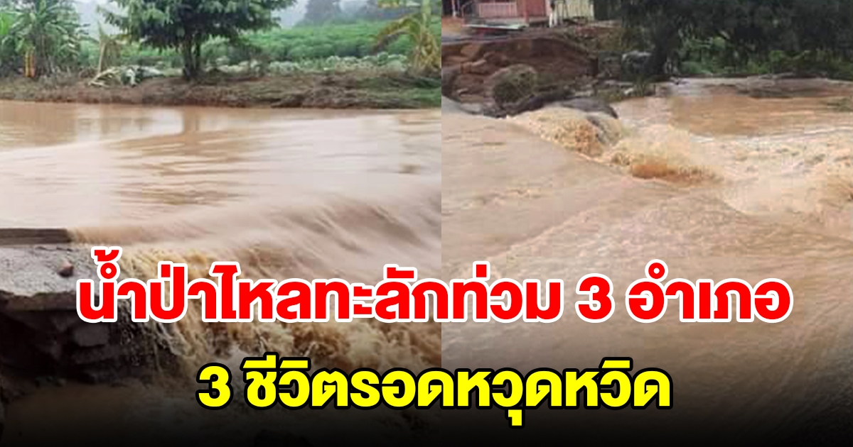 พายุกระหน่ำ น้ำป่าไหลทะลักท่วมหมู่บ้านใน 3 อำเภอ เสียหายหนัก 3 ชีวิตรอดหวุดหวิด