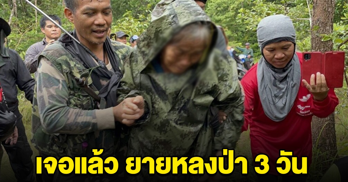 เจอแล้ว ยายเข้าไปเก็บเห็ด หลงป่าหายไป 3 วัน