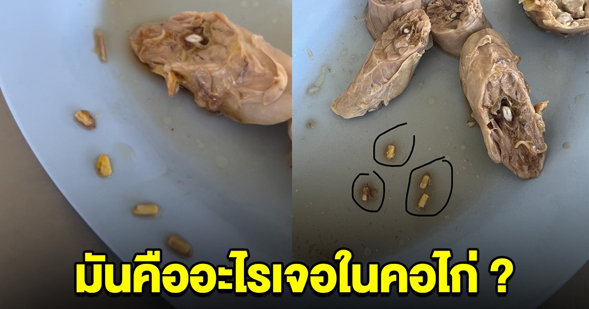 สาวกำลังกินไก่ตอน แต่กลับเจอสิ่งปริศนาอยู่ในคอไก่ คนแห่คอมเมนต์สนั่น