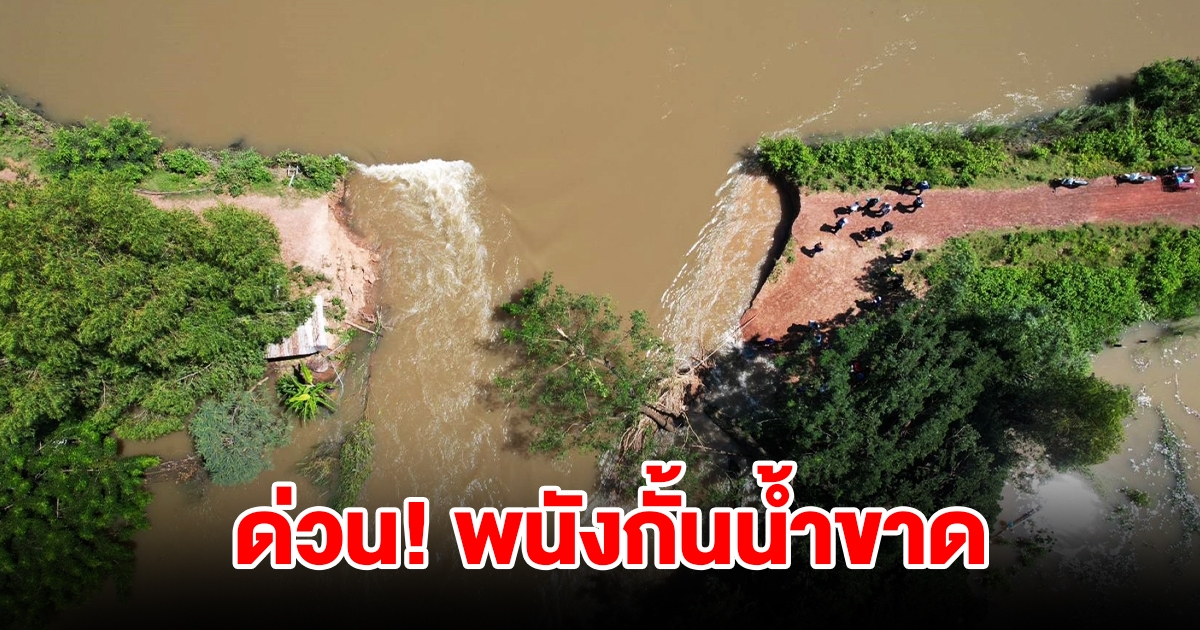 พนังกั้นลำน้ำขาด มวลน้ำไหลทะลักท่วมนาข้าวกว่า 4,000 ไร่