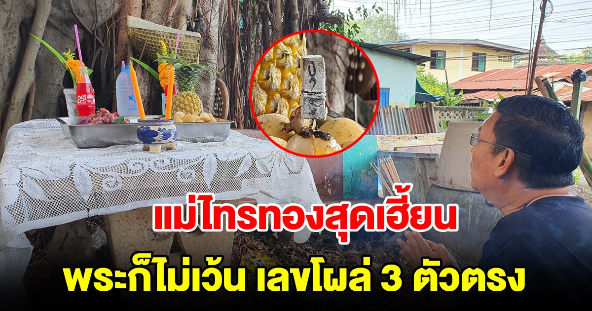 แม่ไทรทองสุดเฮี้ยน หลอกขนหัวลุก พระก็ไม่เว้น เลขโผล่ 3 ตัวตรง