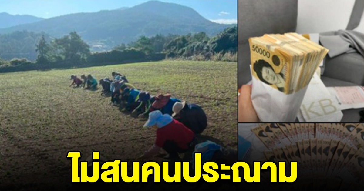 สาวโพสต์สุดภูมิใจ เป็นผีน้อย ไม่สนคนประณาม ลั่น ไม่มีเกียรติ แต่มีกิน