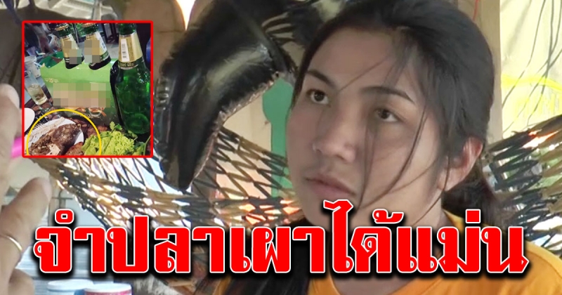 สาว โดนฉกของหน้ารถแล้วยังโพสต์รูปเย้ยฉลอง