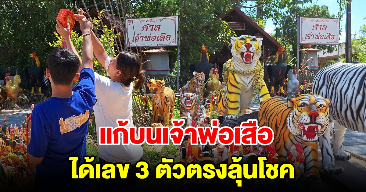 สองสามีภรรยา แก้บนเจ้าพ่อเสือ ได้เลข 3 ตัวตรงลุ้นโชค