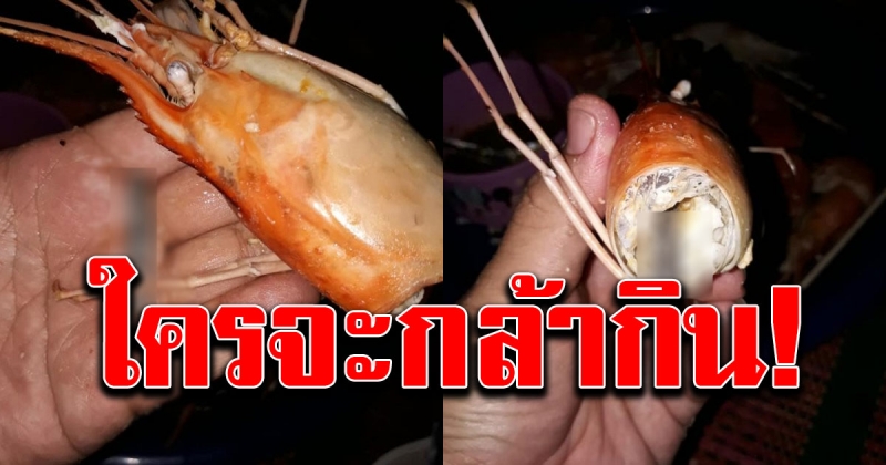 หนุ่มซื้อกุ้งมา หวังจะกินแซ่บๆ