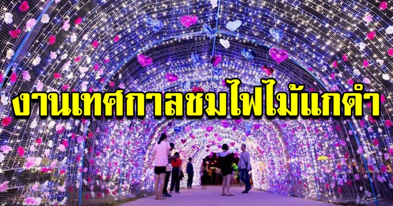 โต้ลมหนาวรับปีใหม่ เตรียมพาครอบครัวเซลฟี อุโมงค์ไฟบน สะพานไม้แกดำ