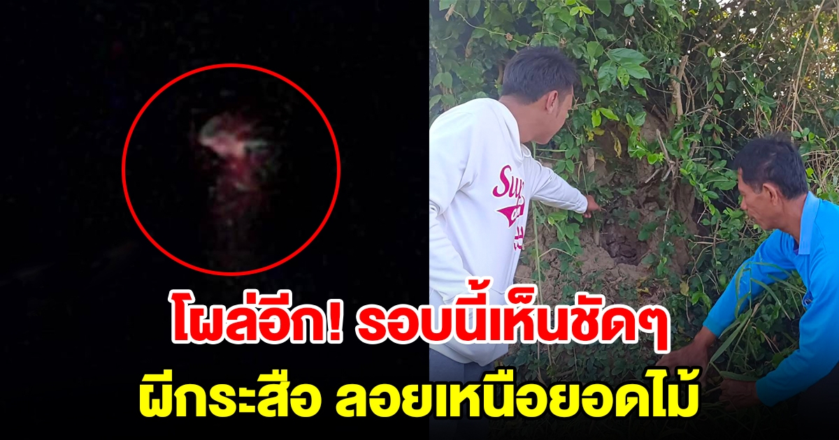 โผล่อีกรอบนี้เห็นชัดๆ แสงไฟประหลาดลอยเหนือยอดไม้ ชาวบ้านเชื่อเป็นผีกระสือ