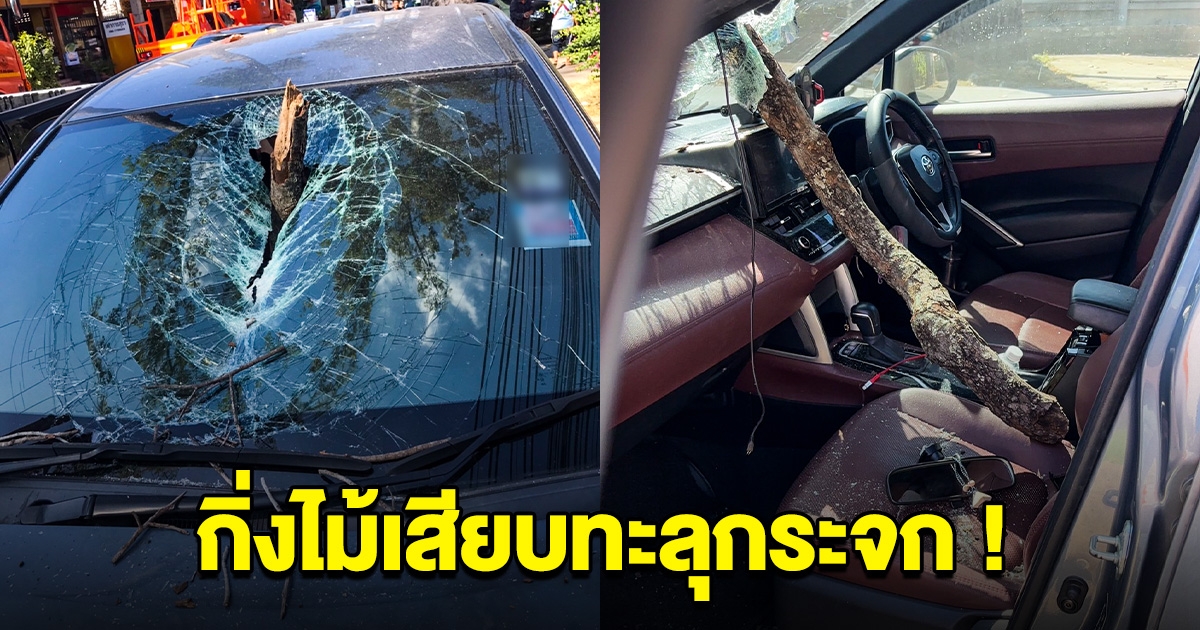 สาวขับรถ เจอกิ่งไม้ใหญ่หล่นใส่ พุ่งเสียบทะลุกระจก รอดราวปาฏิหาริย์