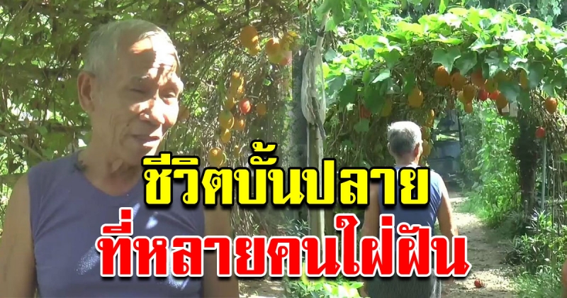 คุณตาวัย 79 ปีปลูกผักสวนครัวอินทรีย์ พอเพียงสร้างความสุข