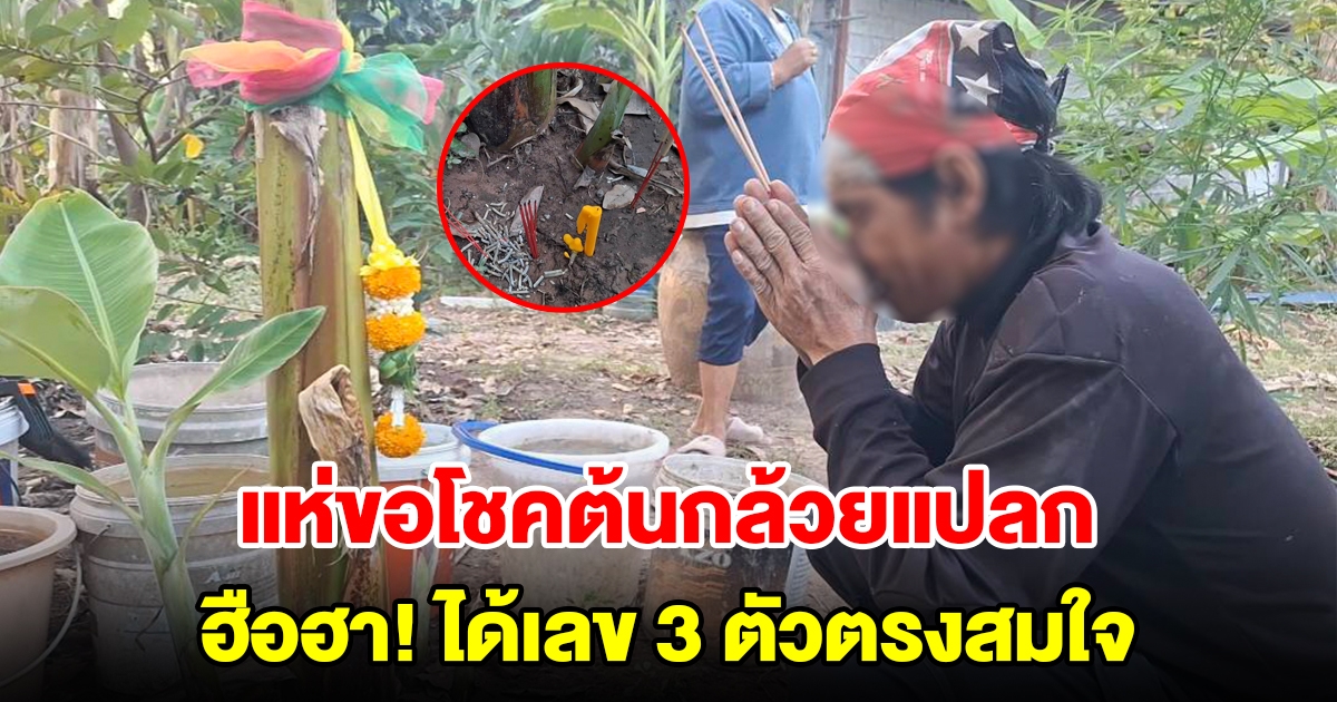 แห่ขอโชคต้นกล้วยแปลก ฮือฮาได้เลข 3 ตัวตรงสมใจ
